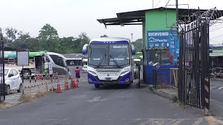 Afluencia de viajeros en la terminal de occidente [upl. by Bunde]