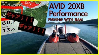 How well does the Avid 20XB Perform [upl. by Gutow]