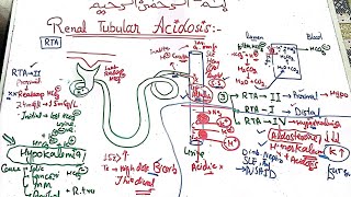 Nephrology medicine lecture 9 🛑 Renal tubular acidosis RTA 1 2 4 nephrology medicine mbbs [upl. by Addia]