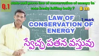 FREELY FALLING BODY EXPLAIN IN TELUGU  LAW OF CONSERVATION OF ENERGY PHYSICS ONLINE CLASSES [upl. by Attennod856]