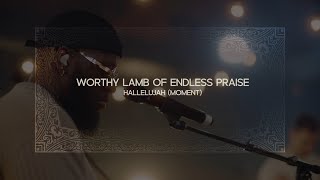 Worthy Lamb of Endless Praise  Hallelujah Moment  OFFICIAL MUSIC VIDEO [upl. by Margi]