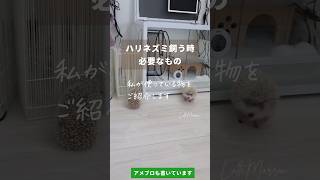 ハリネズミを飼う時に必要なもの🦔 ハリネズミ [upl. by Kleeman]