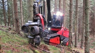 Maschinendemo Unkrautregulierung im Biogemüsebau Hochdeutsch [upl. by Faustina843]