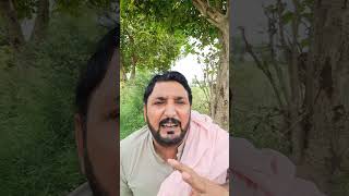 Maree Murghian Funny video by anjum Saroya  مردہ مرغی کتھے جاندی اے [upl. by Ydolem]