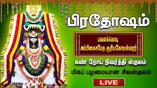 🔴Live Pradosham  பங்குனி மாத சிறப்பு பிரதோஷம்  Pradosham live Abhishekam  Live today  Bakthi Oli [upl. by Ttehc]