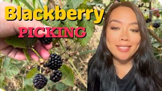 Blackberry Picking Mich amp The Rookies is live [upl. by Nwahsor]