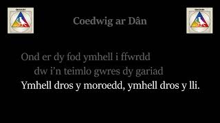 Coedwig ar Dân – Bwncath [upl. by Eilesor]