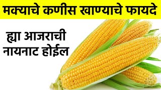 मक्याचे कणीस खाण्याचे फायदे health benefits of corn [upl. by Irneh64]