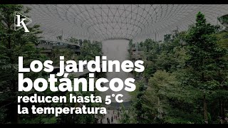 Los espacios verdes de las ciudades bajan las temperaturas según estudio [upl. by Graner]