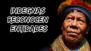 Indígenas del Amazonas hablan sobre las entidades que existen [upl. by Nylesor]