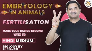 Fertilisation Embryology in Animals  Hindi Medium neet [upl. by Cavit831]