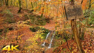 Sirzenicher Wasserfall Trier Autumn River Walk Germany 4K [upl. by Bencion]