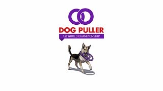 Dog Puller World Championship 2018 [upl. by Quinta]