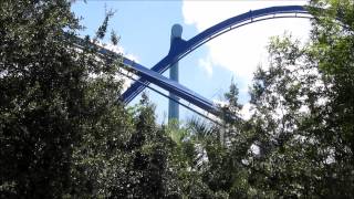 Manta OffRide Compilation  SeaWorld Orlando  81115 [upl. by Ralaigh631]