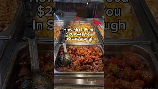 How Much Food 20 Gets You In Scarborough Toronto [upl. by Ytissac]