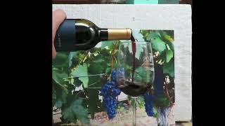 Petite Sirah – 2018 Ab Astris Winery Stonewall Texas [upl. by Gide199]