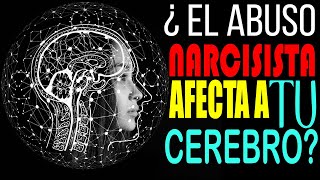 ¿Cómo AFECTA EL ABSO NARCISISTA a TU CEREBRO  CONSECUENCIAS FÍSICAS DEL ABSO NARCISISTA [upl. by Abrams698]