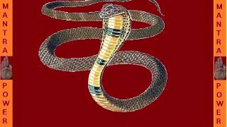 NAG GAYATRI MANTRA TO REMOVE SNAKE FEAR KALSARPANAG CURSE AND MORE [upl. by Ayanat]