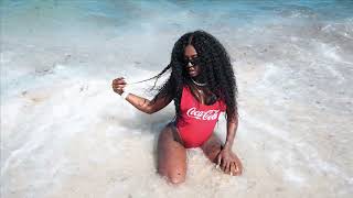 Blaquee Diamond  Summer In Miami  Official Video [upl. by Hentrich629]