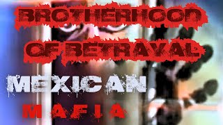 From Courtroom to Chaos The Brutal Reality of MEXICAN MAFIAS Internal Strife [upl. by Iztim299]