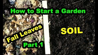 How to Start a No Till Garden or Food Forest for beginners with Deep living Mulch Part 1 [upl. by Olra143]