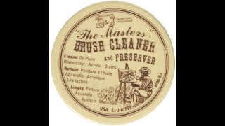 The Masters  Brush Cleaner amp Preserver  Product Review  Tutorial [upl. by Yelime]