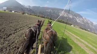 Giganten auf dem Acker  Der Sulky Pflug Teil 2 [upl. by Jun308]