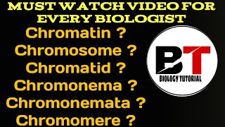 Chromatin chromosome chromatid chromonema chromonematachromomere [upl. by Elaval]