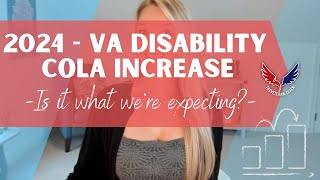 VA Benefits with 100 ServiceConnected Disability  VA Disability  theSITREP [upl. by Marteena826]