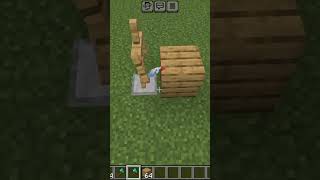 MINECRAFT TIKTOK HACK [upl. by Lexine579]