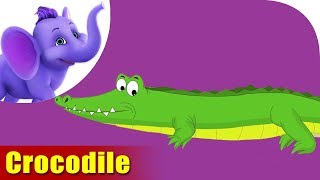 Crocodile Rhymes Crocodile Animal Rhymes Videos for Children [upl. by Drofyar]