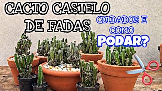 COMO CUIDAR E PODAR CACTO CASTELO DE FADAS [upl. by Mosra]