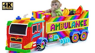 Satisfying Video  Make Ambulance With HUGE Fruit From Magnetic Balls For Baby Smart Monkey [upl. by Iffar993]