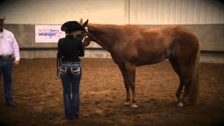 Showmanship SetUp Tips [upl. by O'Rourke]