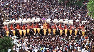 Thrissur Pooram  Pooram festivals of Kerala [upl. by Eiba]