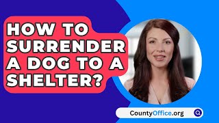 How To Surrender A Dog To A Shelter  CountyOfficeorg [upl. by Xer]