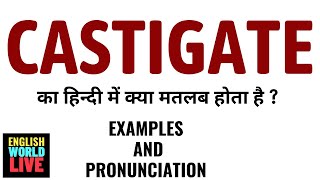 CASTIGATE MEANING IN HINDI  CASTIGATE का हिन्दी में क्या मतलब होता है  CASTIGATE IN HINDI [upl. by Gaves658]