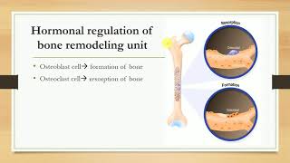 Hormones regulating plasma calcium level Parathormone Calcitonin and Vitamin D [upl. by Gnoix]