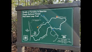 Pink Beds Trail Loop  The Pisgah National Forest near Brevard North Carolina [upl. by Jedediah]