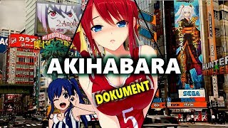 Něco málo o Akihabaře  CZ DOKUMENT   Anime obchodní centrum v Tokyu  Japonsko [upl. by Aynatal201]