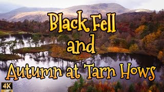 An Autumn Hike around Tarn Hows and onto Black Fell  Lake District National Park [upl. by Nirak]