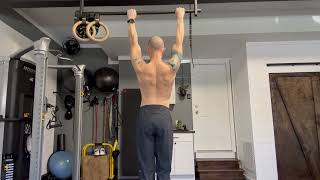 Scapular Pullups [upl. by Gerrard]