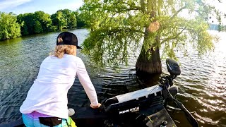 Baiting TREES with Big LIVE BAIT for GIANT CATFISH Catch Clean amp Cook w Arms Family [upl. by Grata]