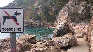 Cala El Golfet  Calella de Palafrugell  Costa Brava  Agost 2017 [upl. by Wollis661]