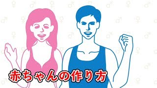 全年齢対象の保健体育の授業です。 [upl. by Enirac]