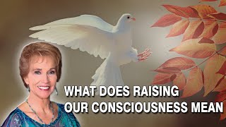 VLOG 228  WHAT DOES RAISING OUR CONSCIOUSNESS MEAN [upl. by Naesal]