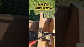 SATISFACTION Removing your kerf cut pieces kerfcut notches hammertime circsaw [upl. by Yenffad77]