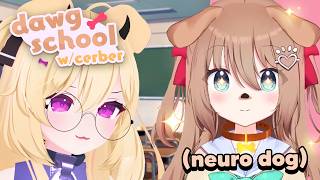 Neurosama goes to DOG SCHOOL w Cerber [upl. by Cleavland974]