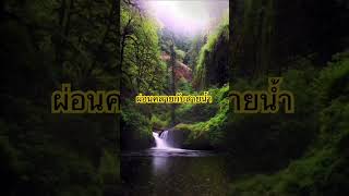 ผ่อนคลายกับสายน้ำ [upl. by Thekla]