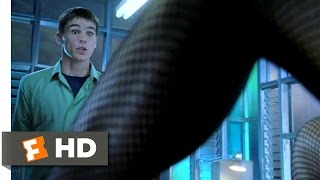 40 Days and 40 Nights 212 Movie CLIP  The Layout Problem 2002 HD [upl. by Berky]